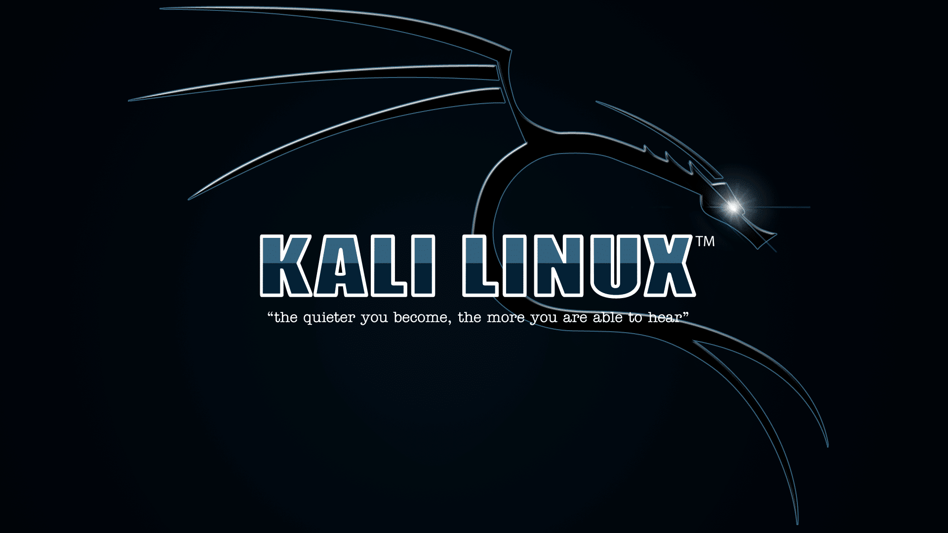 kali linux - the quieter you become, the more you are able to hear