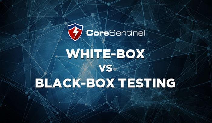White vs. Black Box Testing: Key Differences Every Organisation Should Know