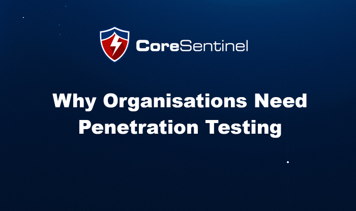 why orgs need pen testing